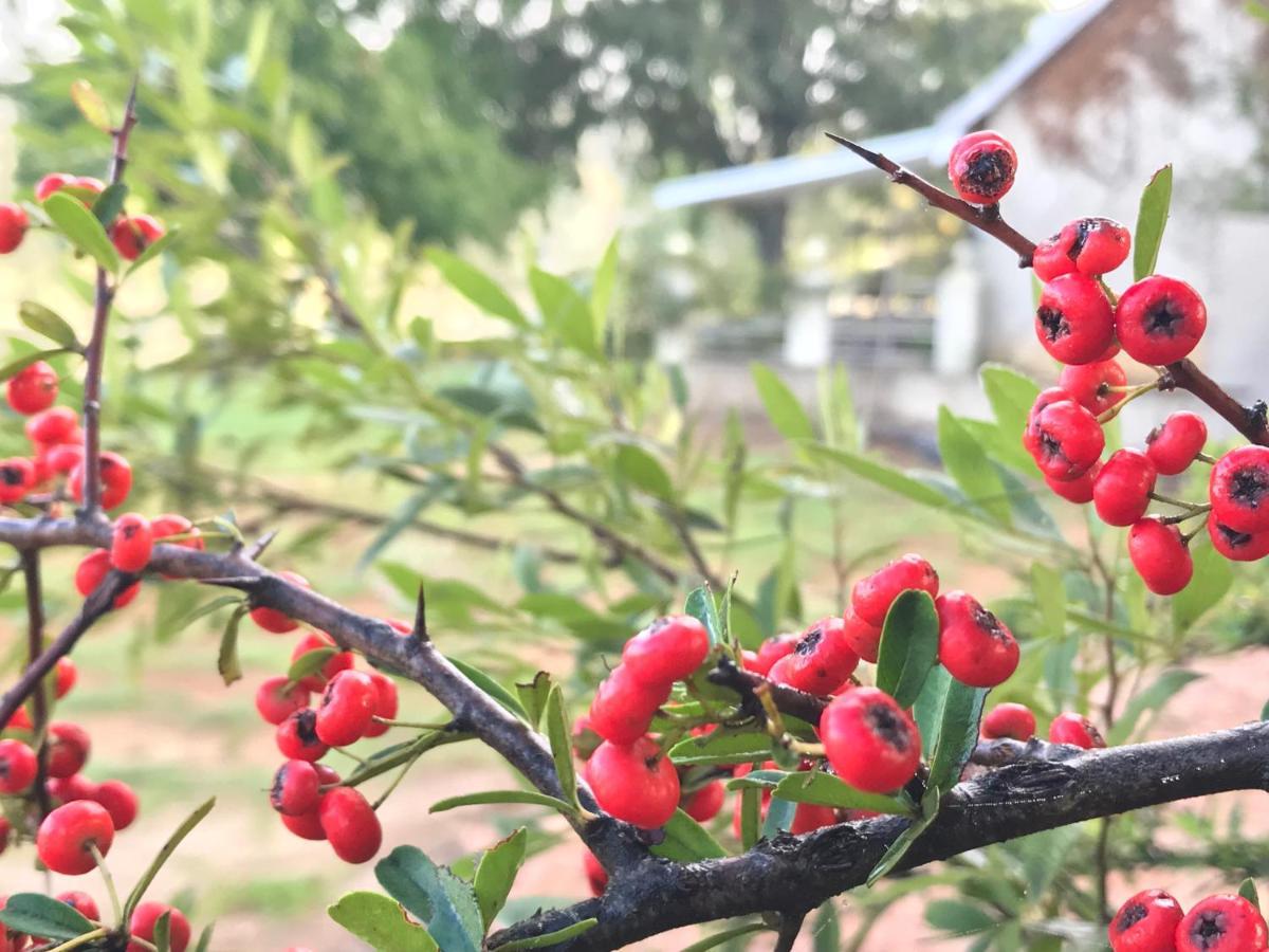 Rose Cottage @ Gods' Haven Eco Estate Underberg Εξωτερικό φωτογραφία